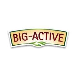BIG ACTIVE